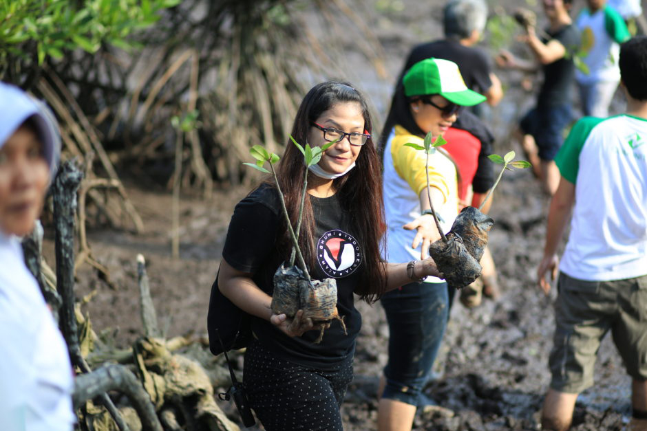 mangrove planting