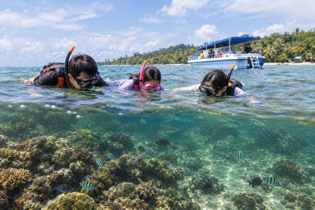 Three snorkelers explore vibrant coral reefs and tropical fish during a boat snorkelling adventure in